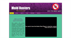 Desktop Screenshot of moldbusters.net
