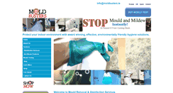 Desktop Screenshot of moldbusters.ie